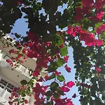 Hotel Vatika - The Riverside Resort