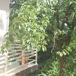 Junglaat Stays & Experiences