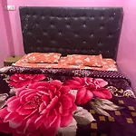 Friends Corner Dharamshala