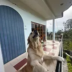 Snow Biscuit Villa
