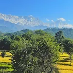 Dhauladhar Homes
