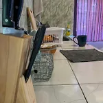 Cat & Cow