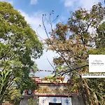 Himvigraha- Your Mountain Retreat