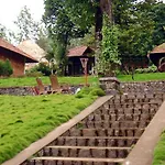 Hotel Misty Woods