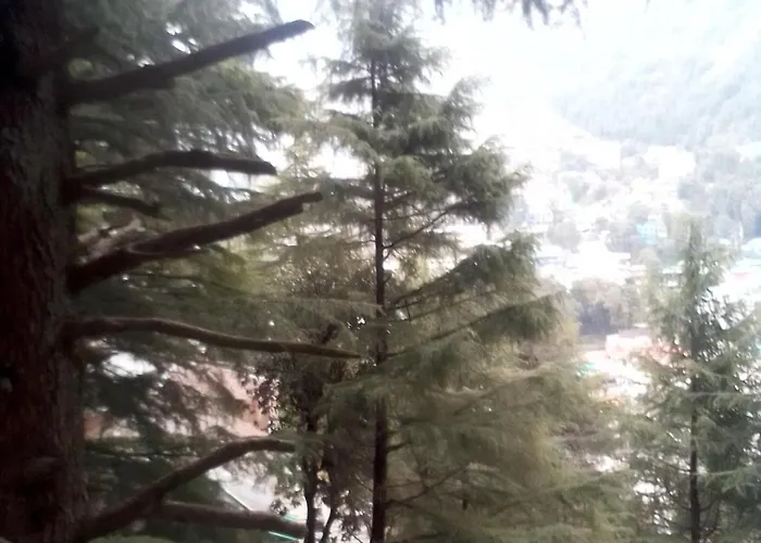 Himalayan Triund Trekking And Mountain View