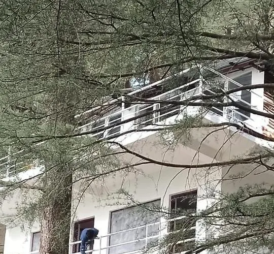 Himalayan Triund Hill View Hostel