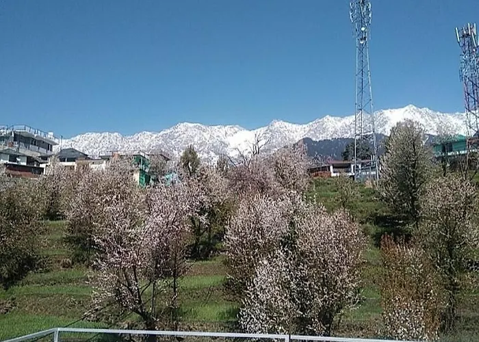 Tranquil Trails Home Stay Naddi