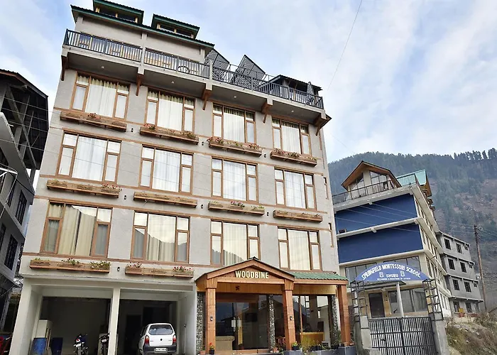 Oyo 6962 Hotel Wood Castle