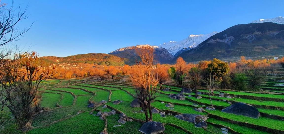 Hotel Quartz Himalayan Brothers Dharamshala