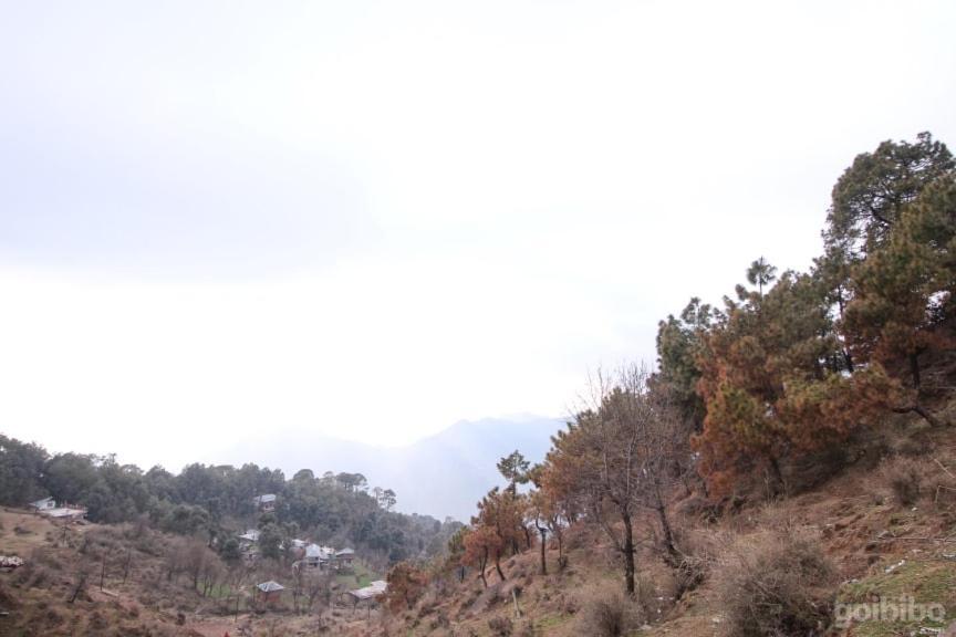 Dlx In Naddi Hotel Dharamshala