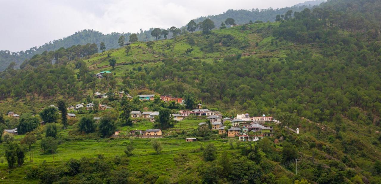 Bob's N Barley Dharamshala