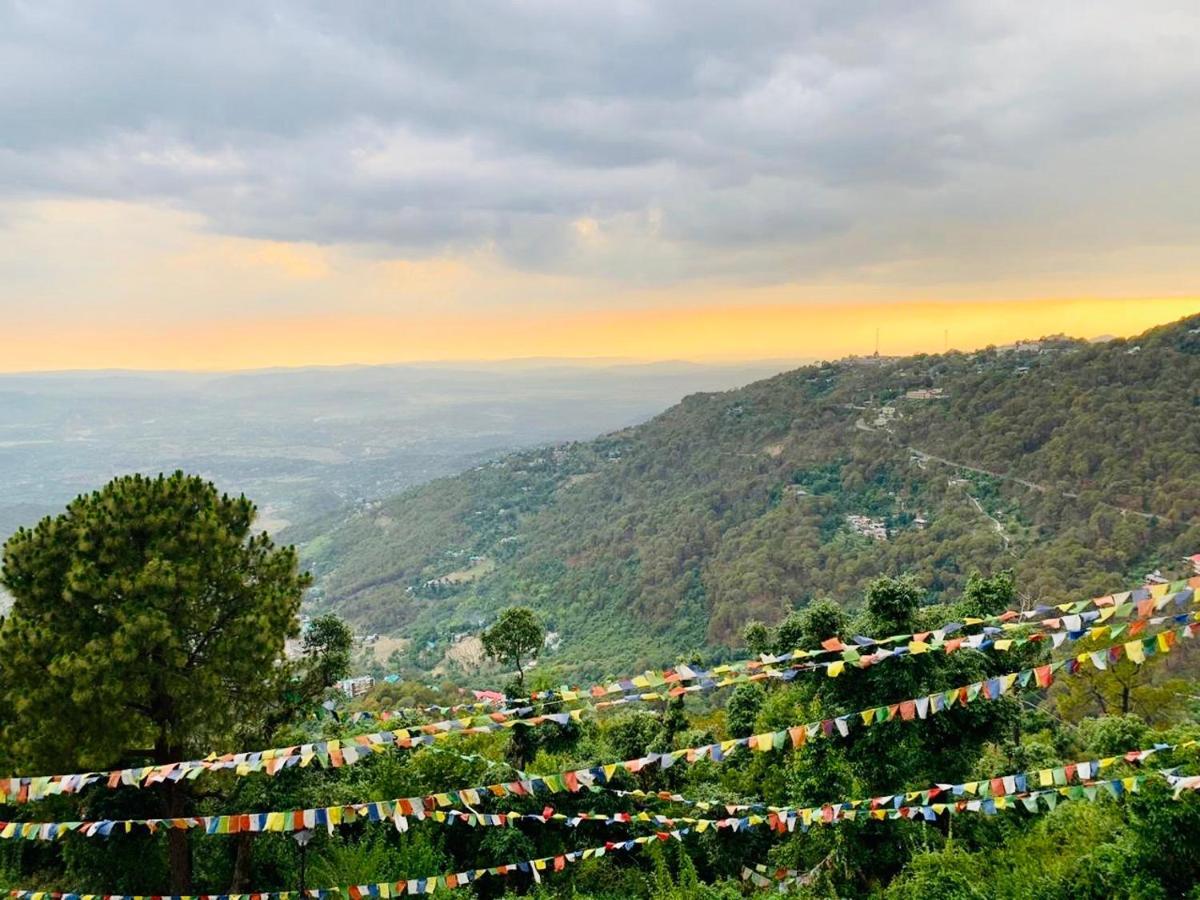 The Horizon South Dharamshala