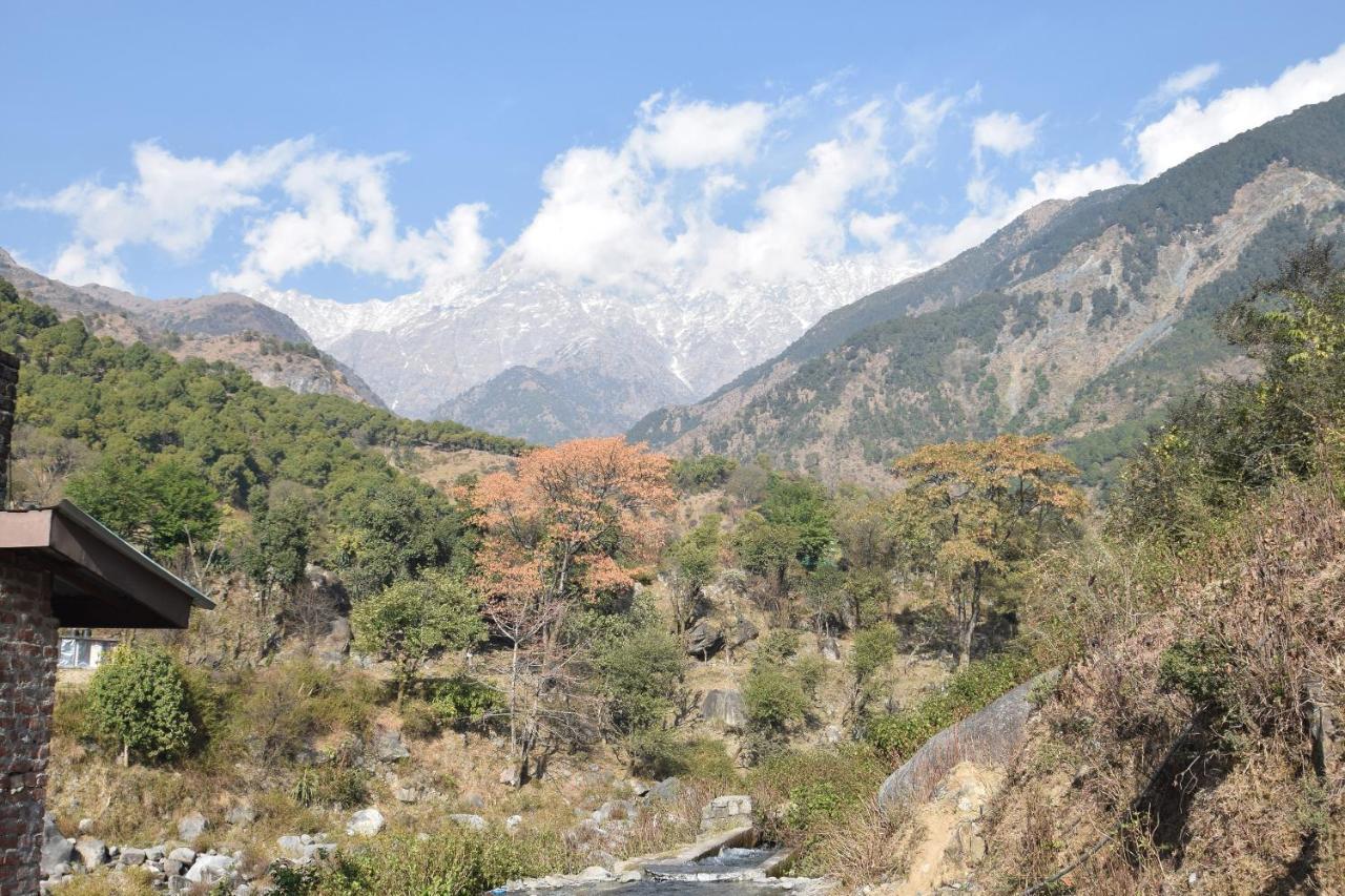 Oyo 11503 Sunshine Dharamshala