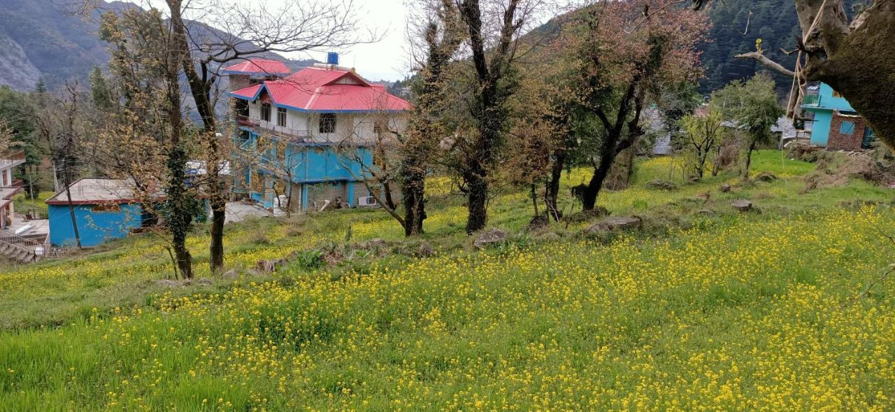 Yellow House Dharamkot Aparthotel