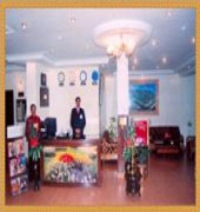 Hotel Anand Palace 3*