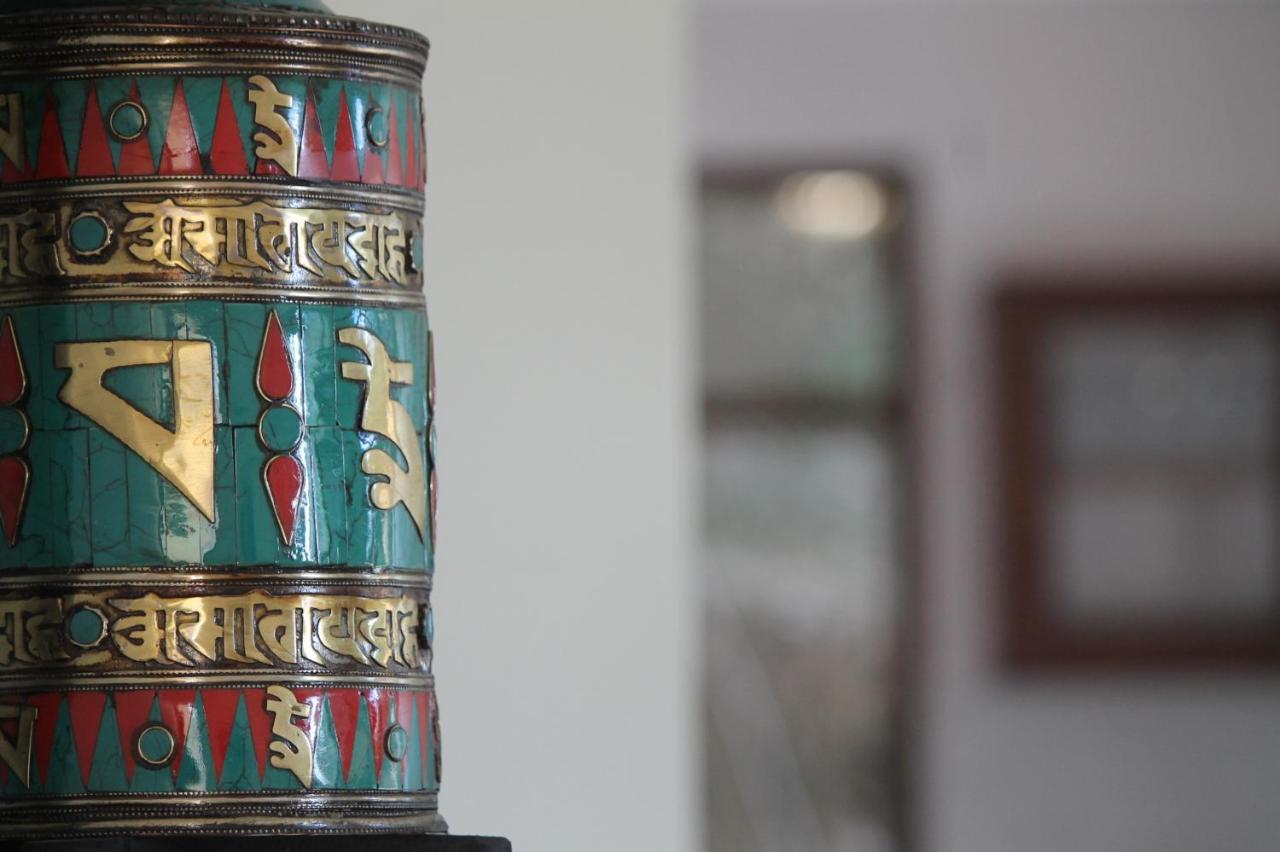 Junglaat & Experiences Dharamshala