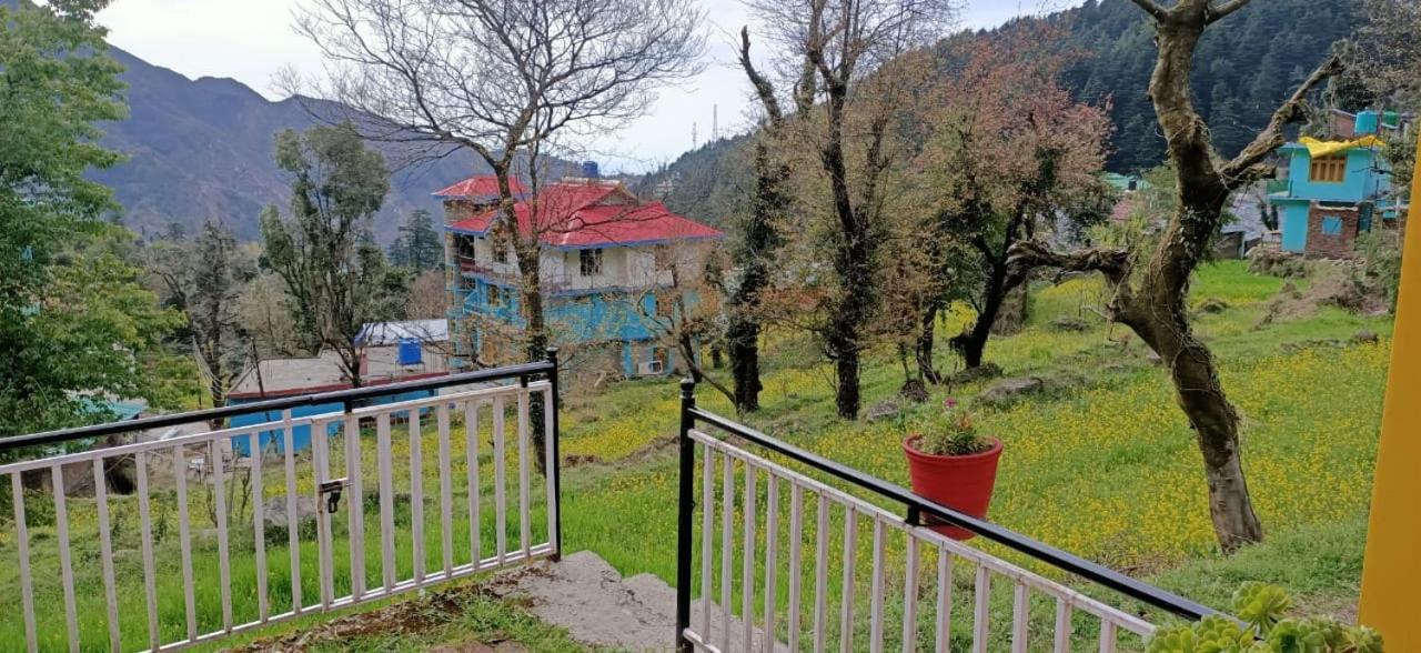 Yellow House Dharamkot