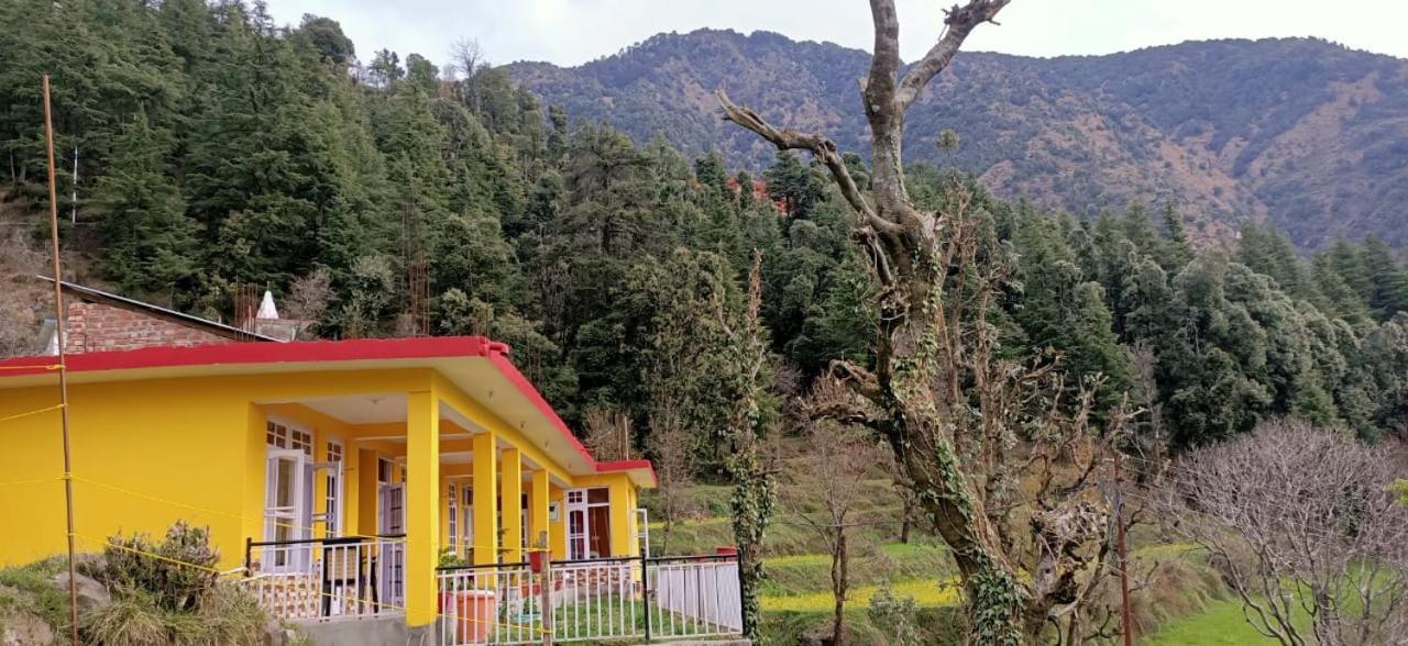 Aparthotel Yellow House Dharamkot *