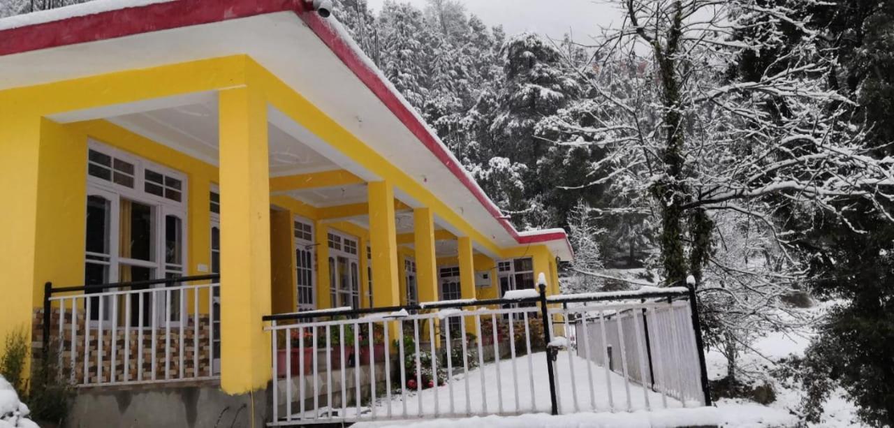 Yellow House Dharamkot Dharamshala