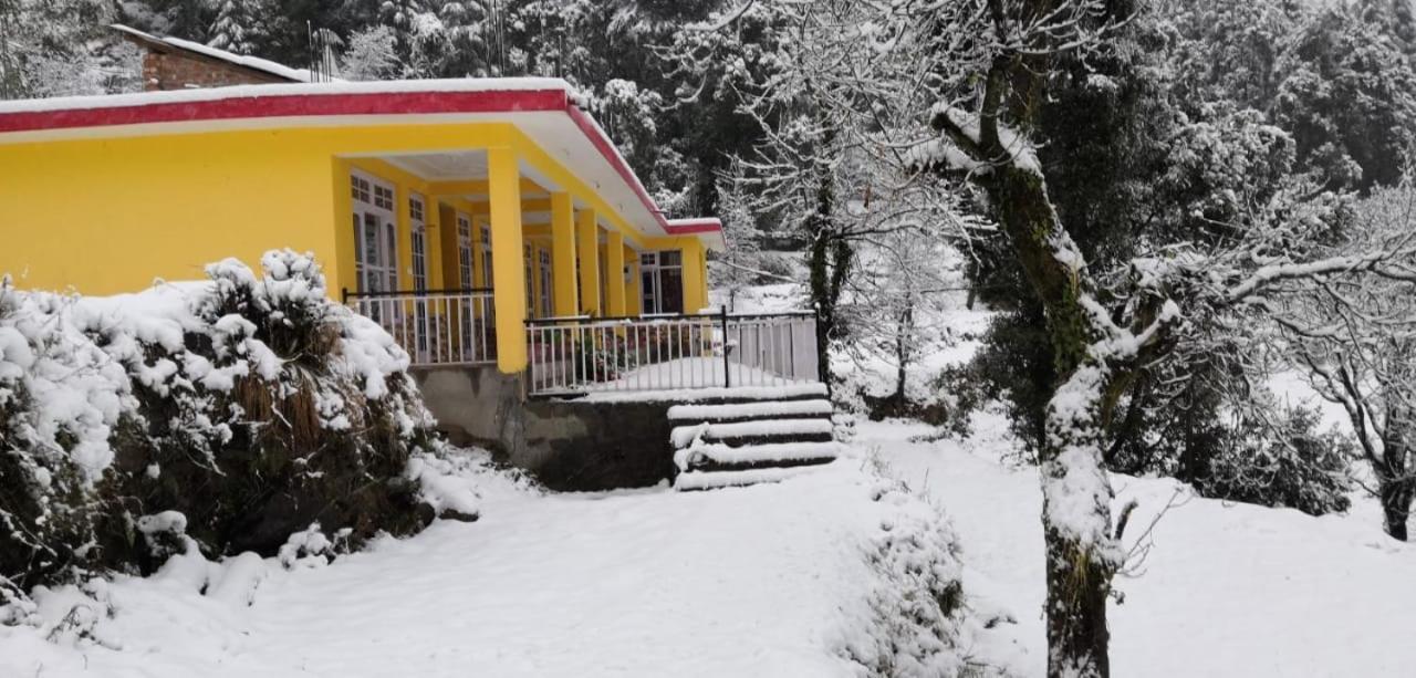 Yellow House Dharamkot