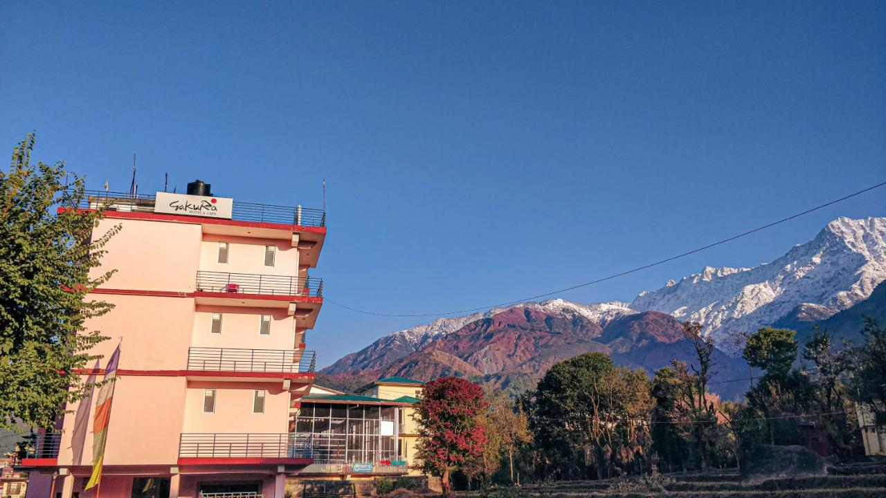 Hotel Sakura 3*