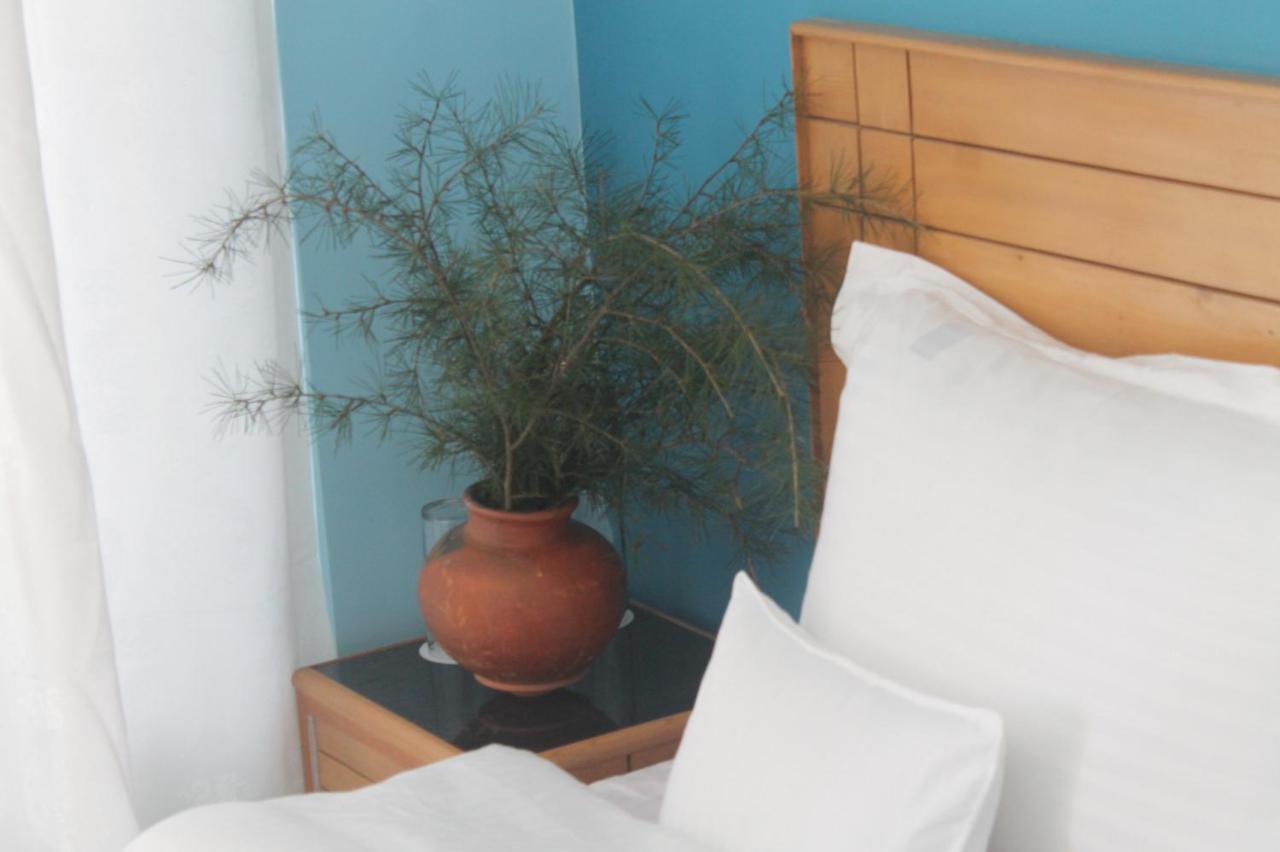 Junglaat & Experiences Guest house Dharamshala