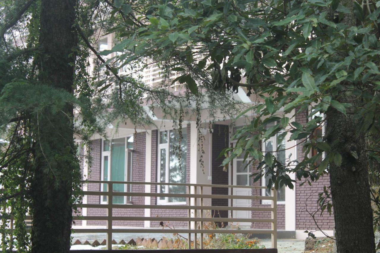 Junglaat & Experiences Guest house *
