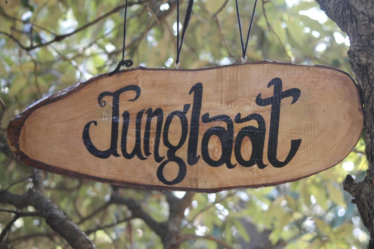 Guest house Junglaat & Experiences