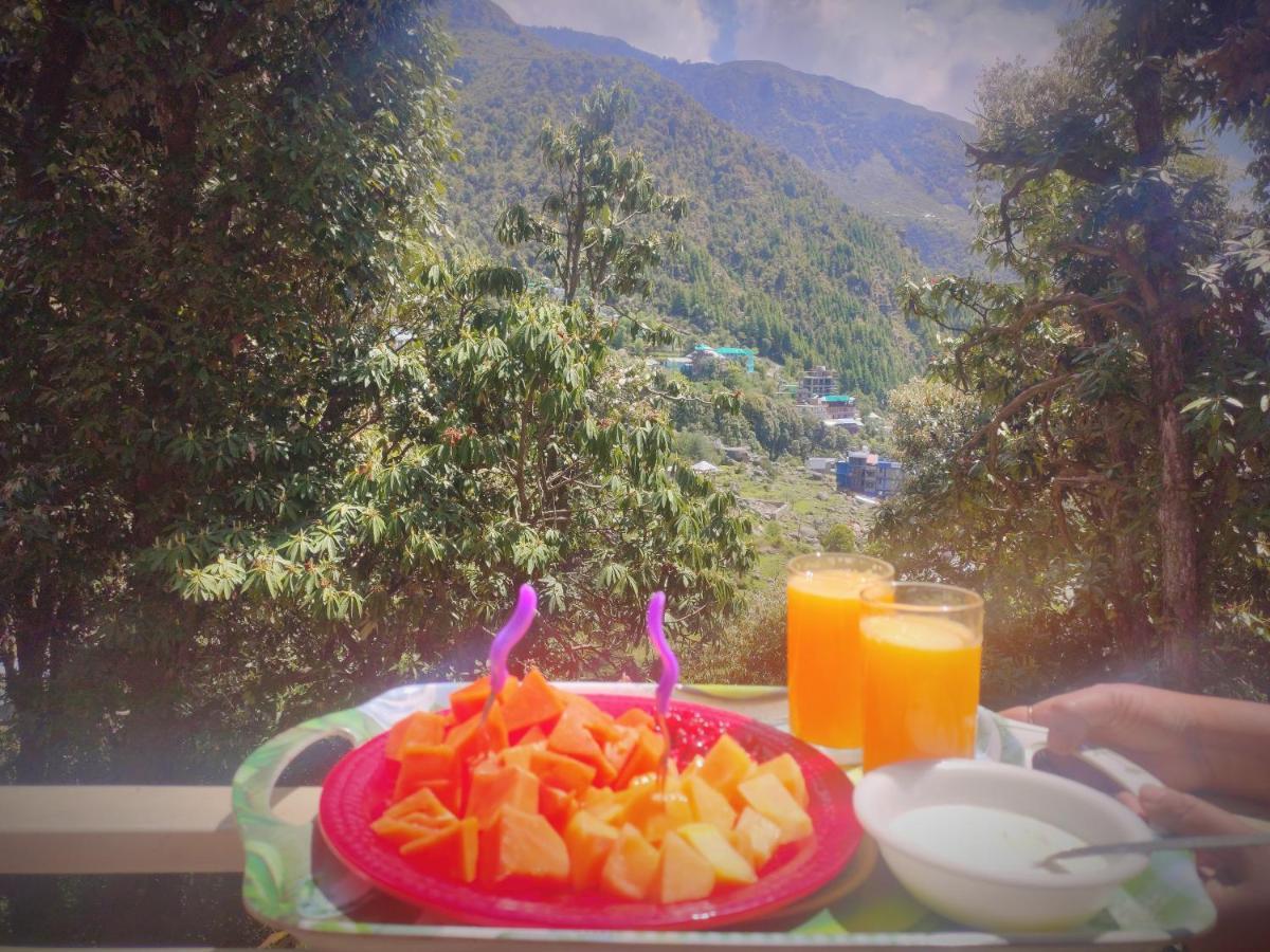 The Unmad, Dharamkot 2*