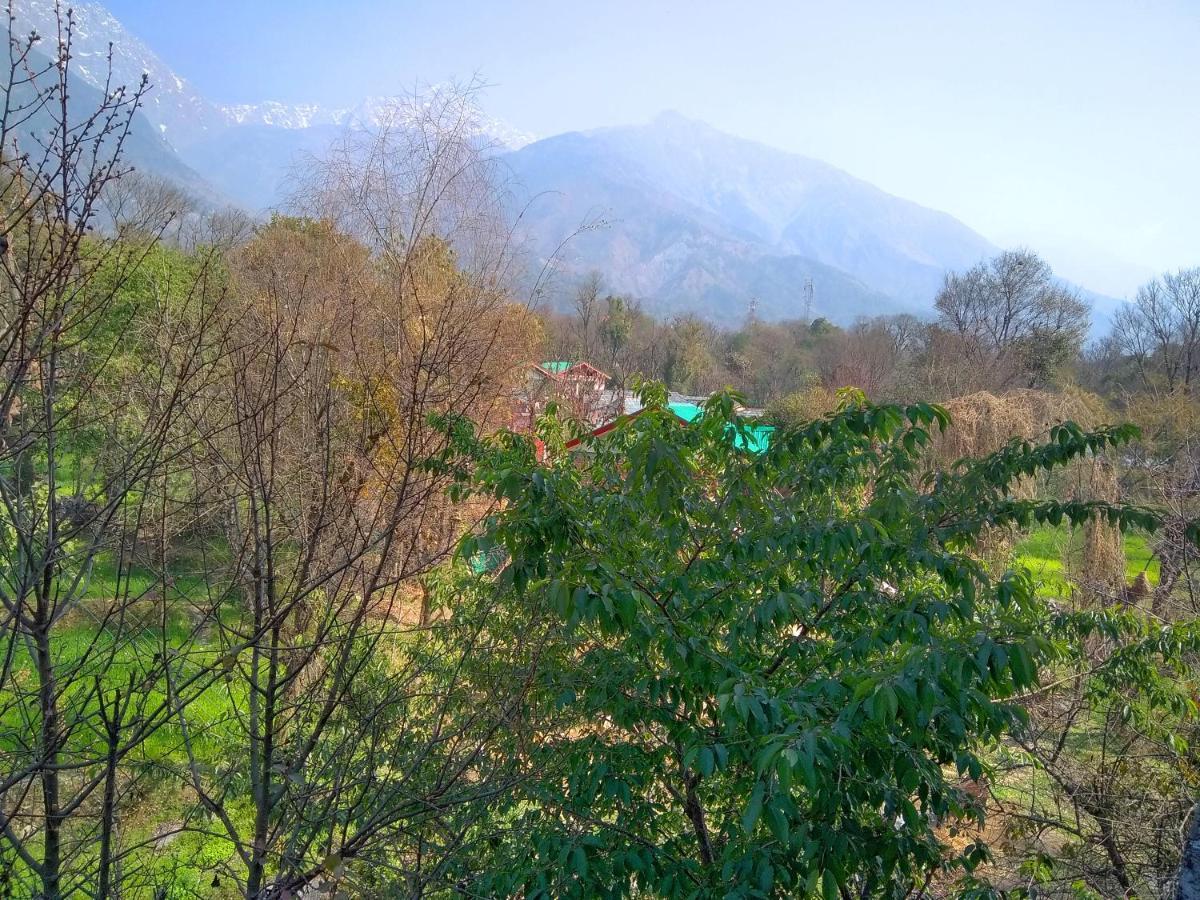 Highland Village 4*