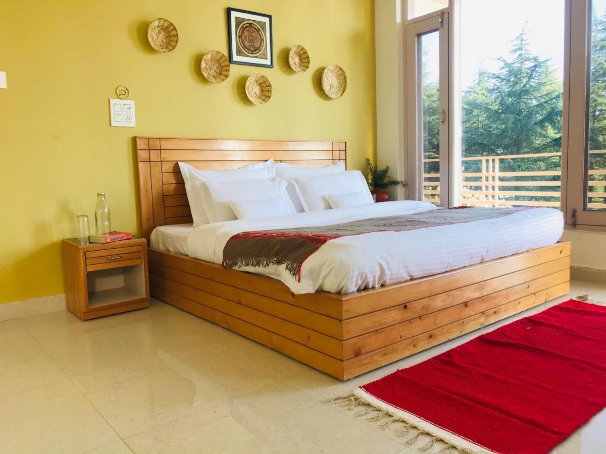 Guest house Junglaat & Experiences