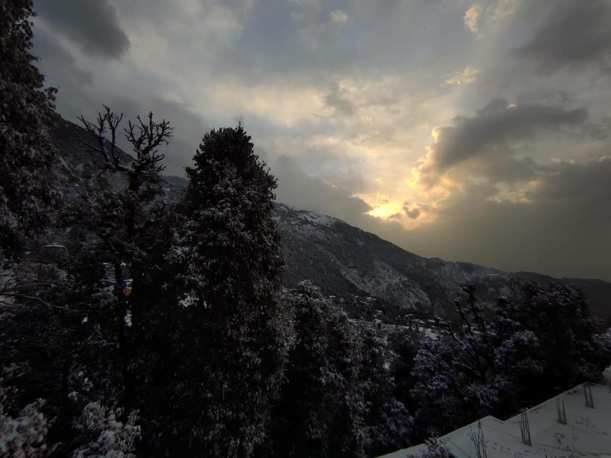 The Unmad, Dharamkot 2*