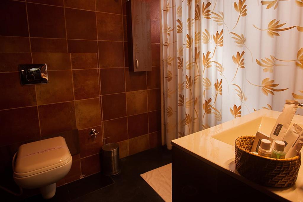 The Divine Hima 4* Dharamshala