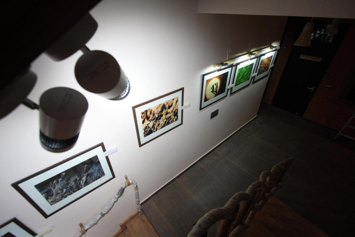 The Divine Hima Guest house
