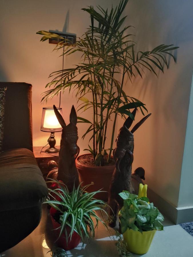 Touristen A Luxury Homestay