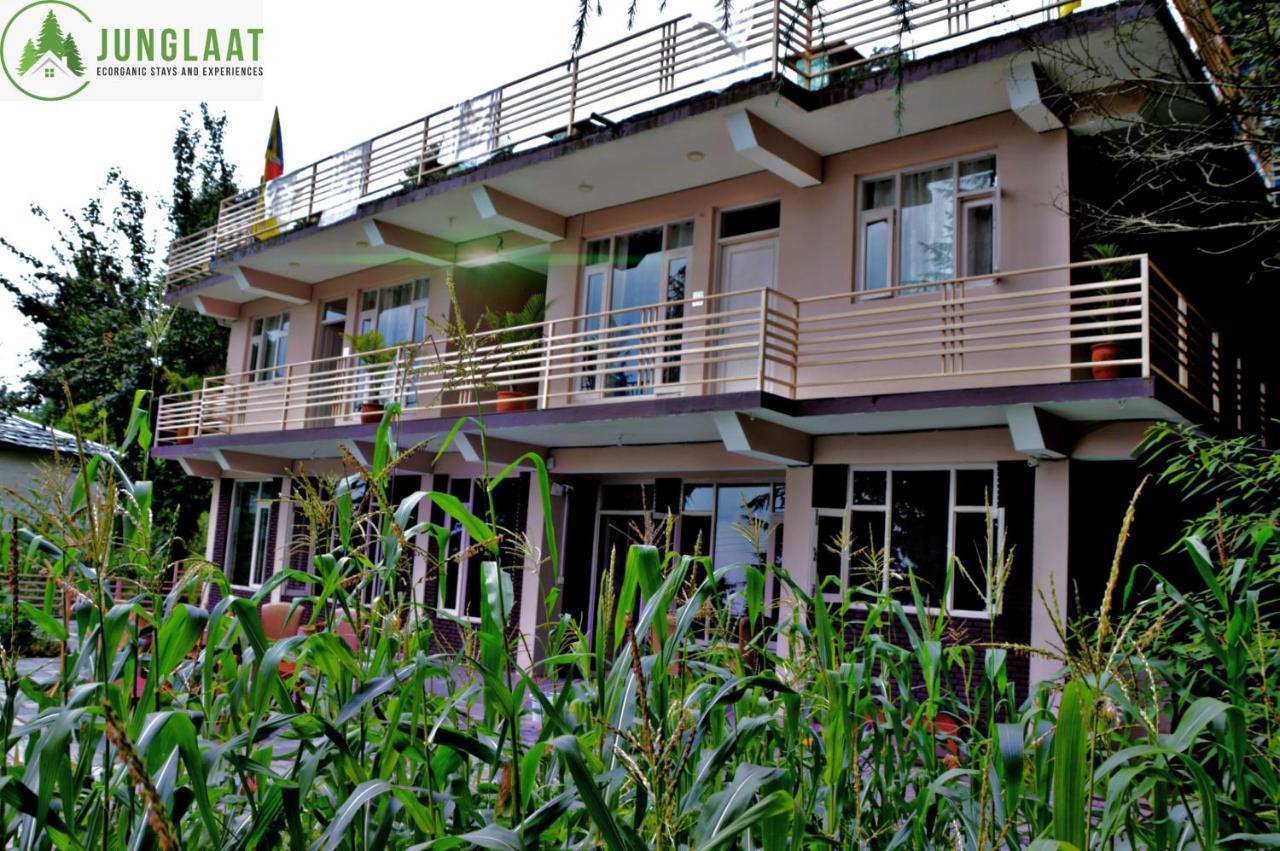 Guest house Junglaat & Experiences