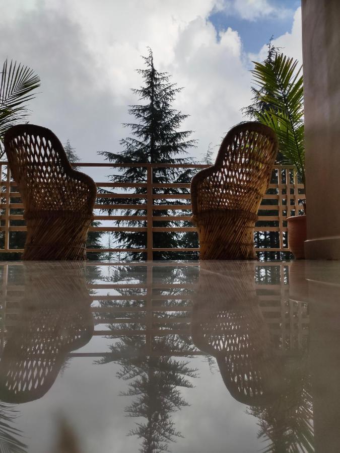 Junglaat & Experiences Guest house *