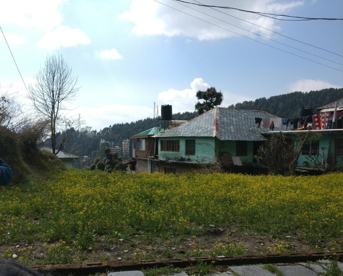 White Rabbit Guest house Dharamshala