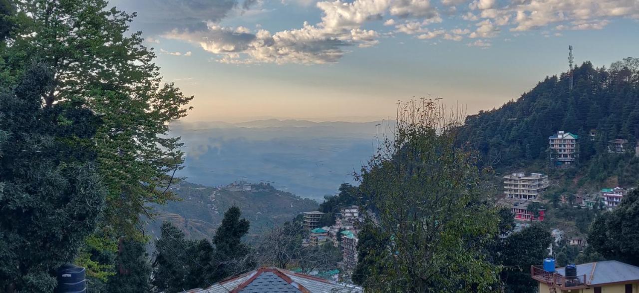 White Rabbit Guest house Dharamshala