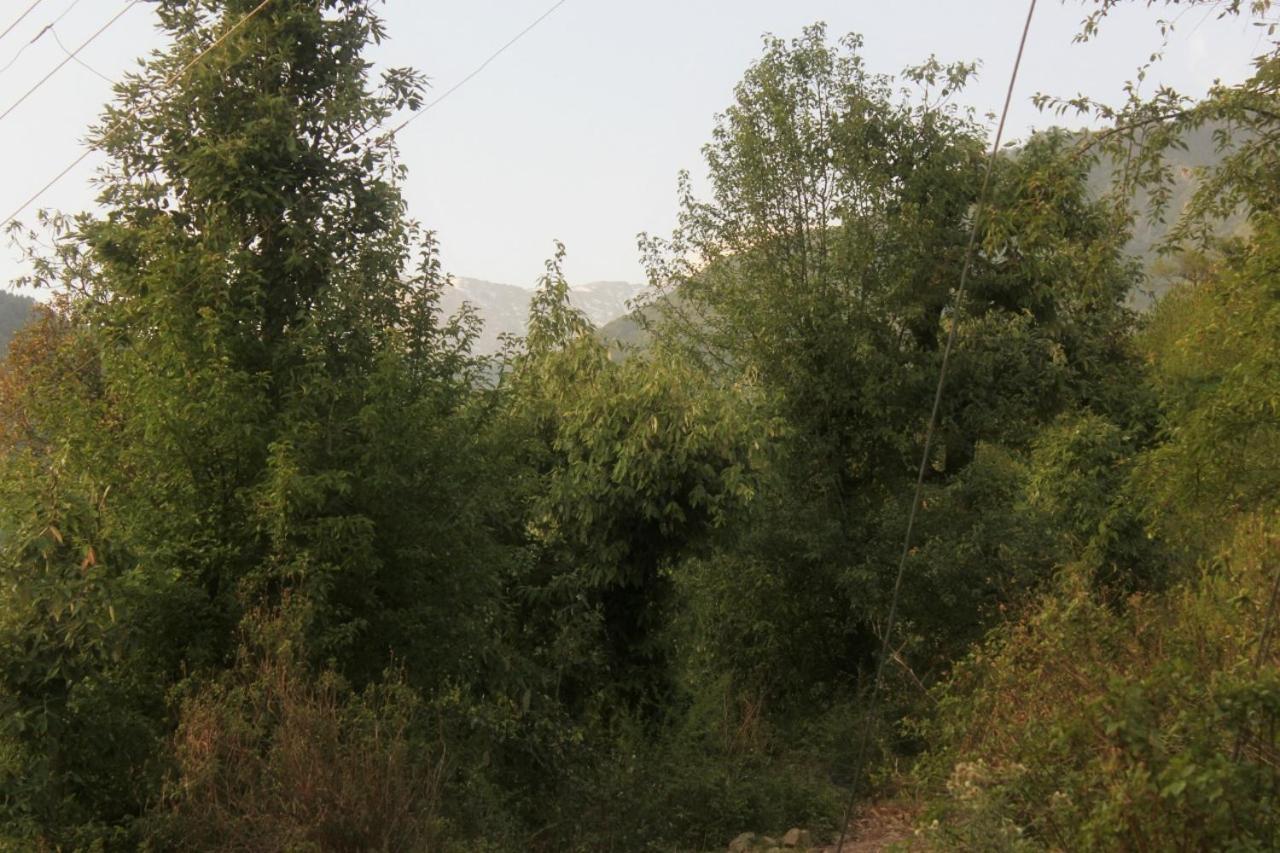 Clouds End Villa, A Heritage Home Stay, 10 Mins From Mcleodganj Hotel Dharamshala