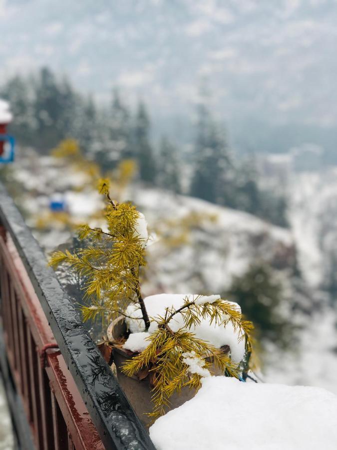 Guest house Paradise By Hbr Dharamshala