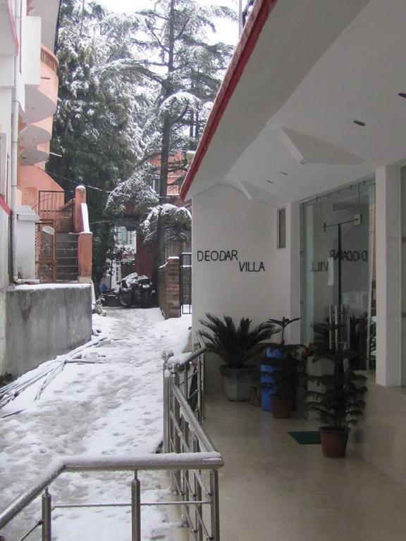 Deodar 3*