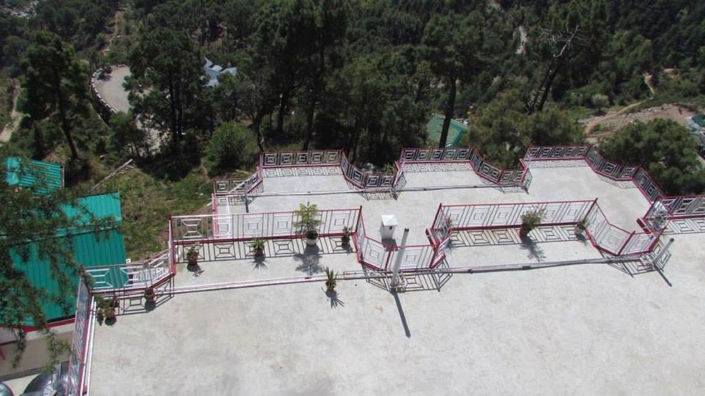 Deodar