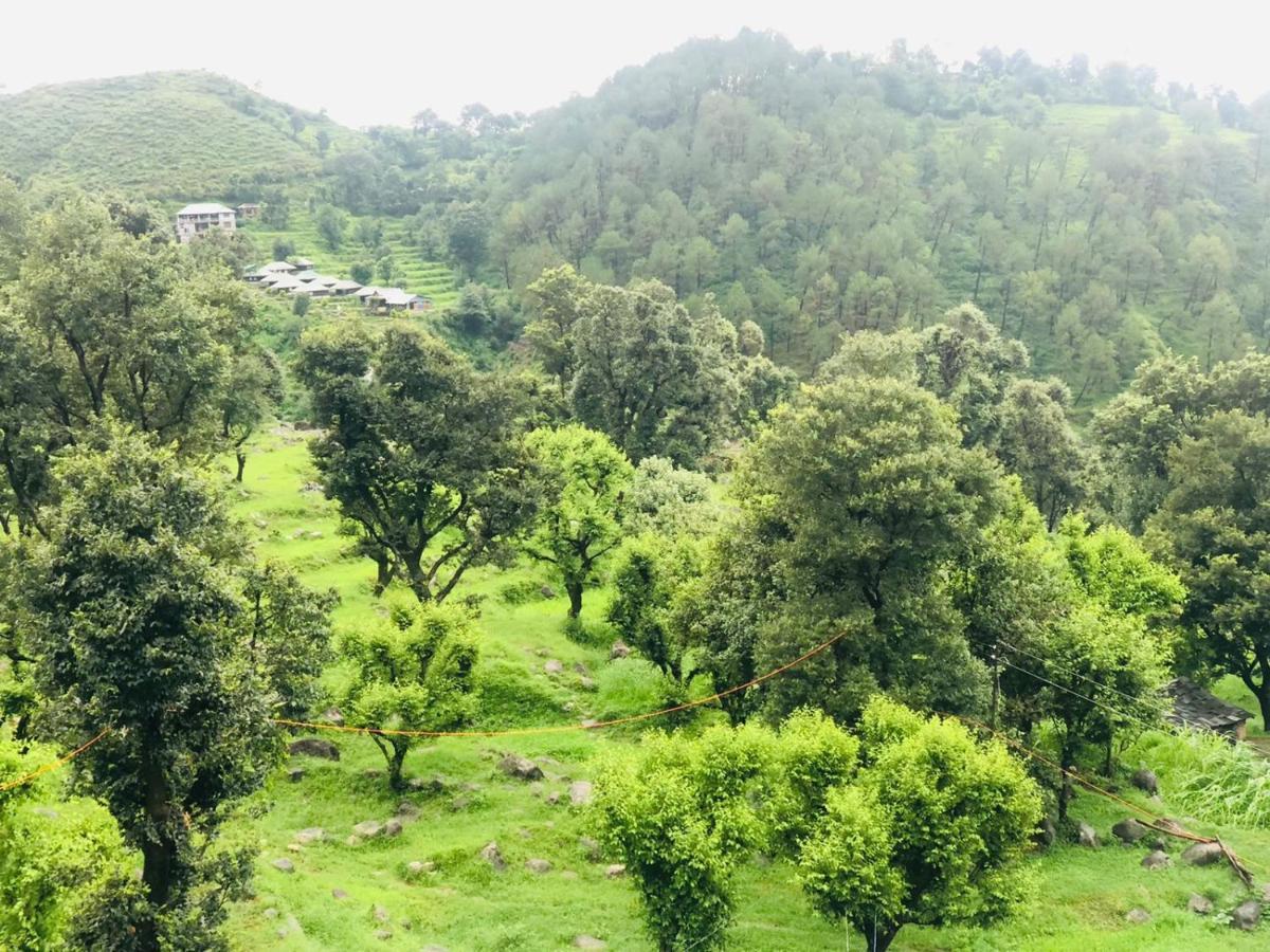 Paradise By Hbr Dharamshala