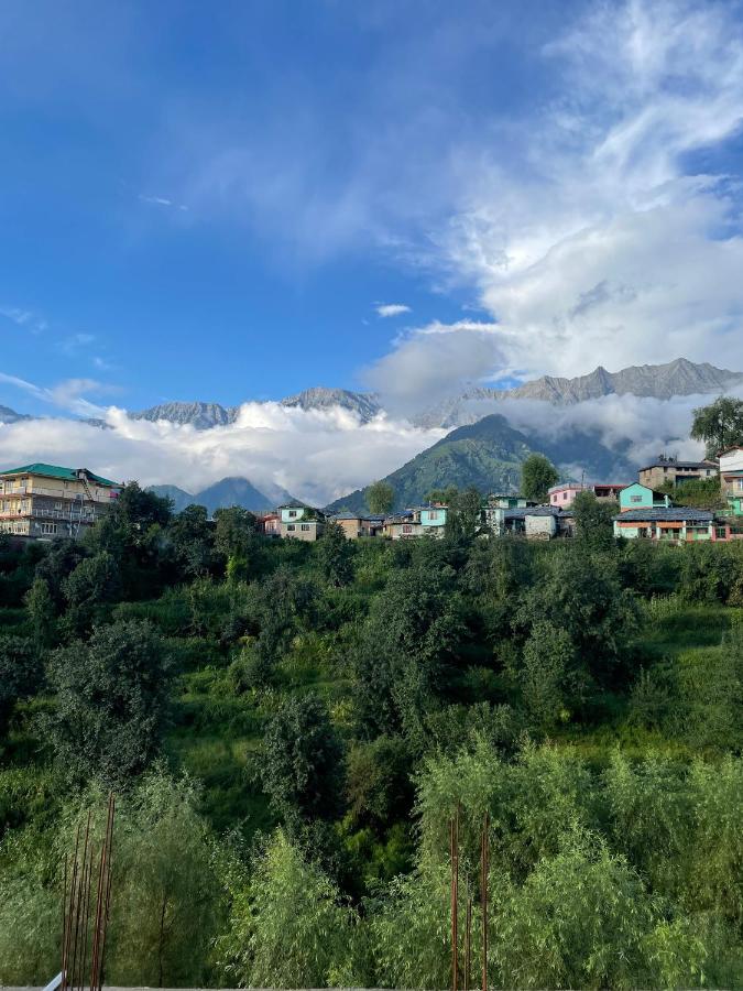 Hotel Naddi Boutique Dharamshala