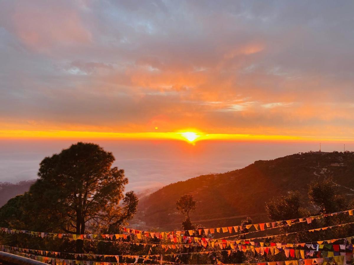 The Horizon South * Dharamshala
