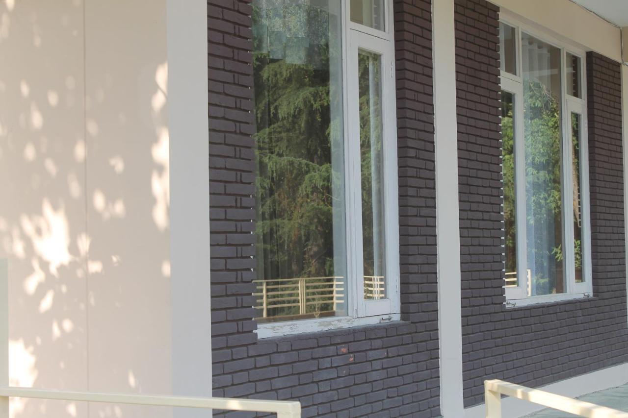 Guest house Junglaat & Experiences *