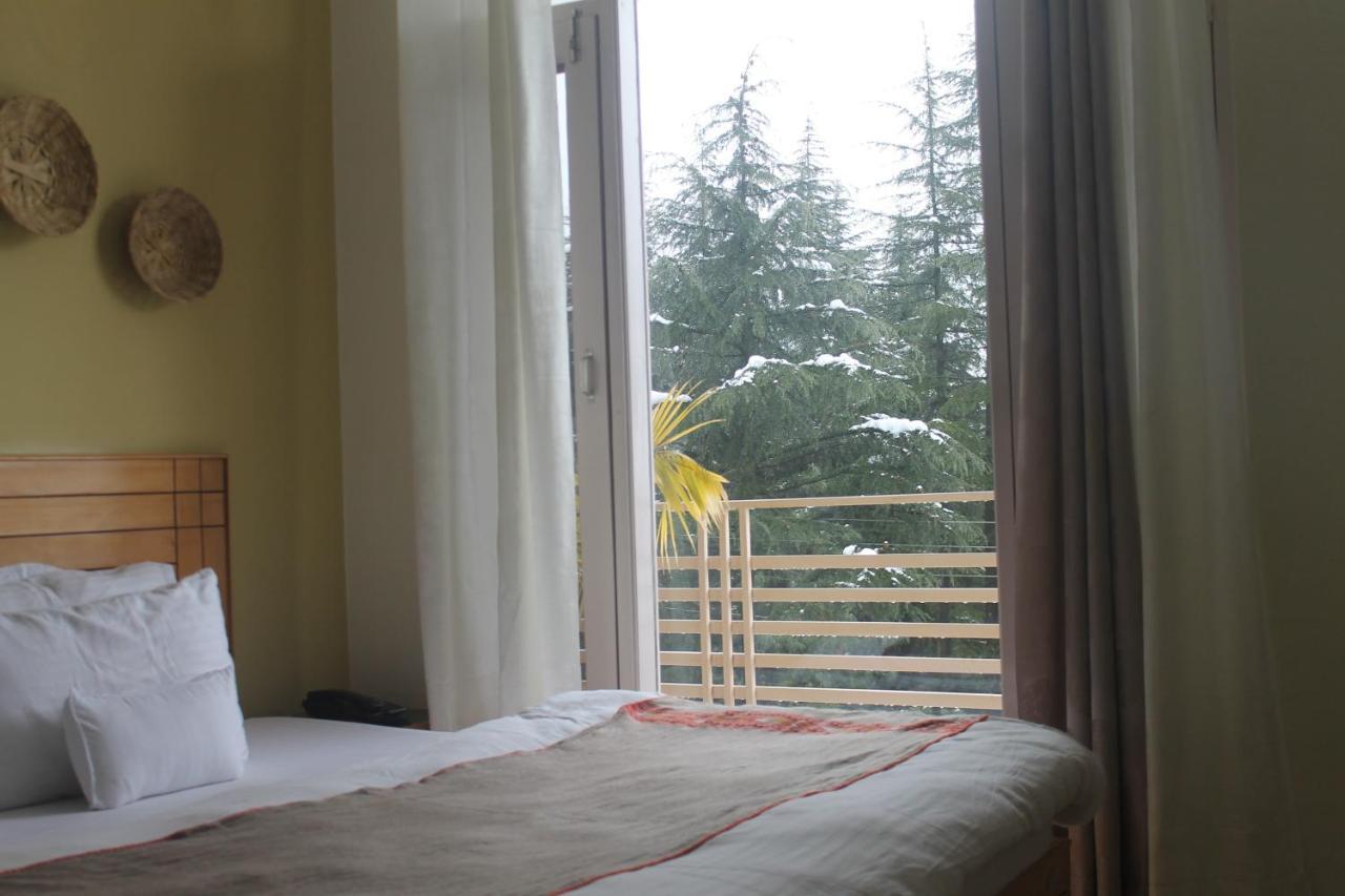 Guest house Junglaat & Experiences Dharamshala