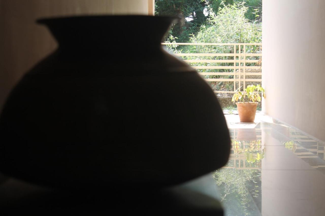 Guest house Junglaat & Experiences