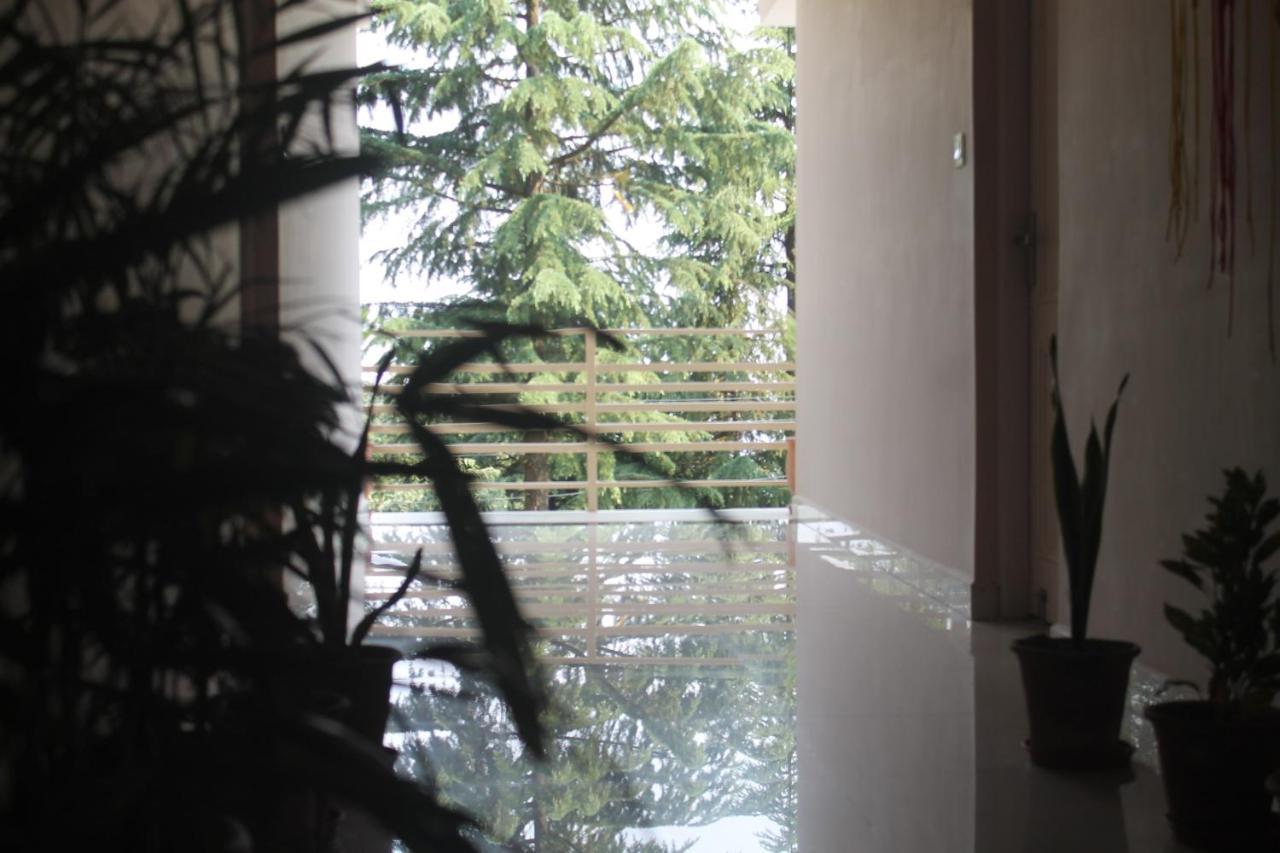 Guest house Junglaat & Experiences Dharamshala